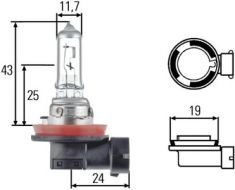  H11 12V 55W PGJ 192 XP Plus 30